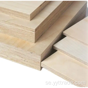 Björkplywood